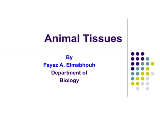 Animal Tissues
By
Fayez A. Elmabhouh
Department of
Biology
 