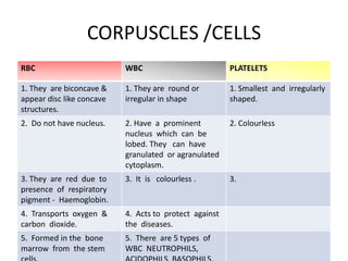 CORPUSCLES /CELLS
RBC                        WBC                          PLATELETS

1. They are biconcave &    1. They are round or         1. Smallest and irregularly
appear disc like concave   irregular in shape           shaped.
structures.
2. Do not have nucleus.    2. Have a prominent          2. Colourless
                           nucleus which can be
                           lobed. They can have
                           granulated or agranulated
                           cytoplasm.
3. They are red due to     3. It is colourless .        3.
presence of respiratory
pigment - Haemoglobin.
4. Transports oxygen &     4. Acts to protect against
carbon dioxide.            the diseases.
5. Formed in the bone      5. There are 5 types of
marrow from the stem       WBC NEUTROPHILS,
 