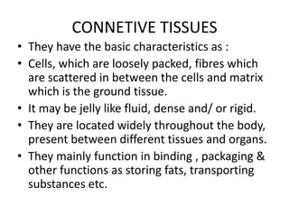 CONNETIVE TISSUES
• They have the basic characteristics as :
• Cells, which are loosely packed, fibres which
  are scattered in between the cells and matrix
  which is the ground tissue.
• It may be jelly like fluid, dense and/ or rigid.
• They are located widely throughout the body,
  present between different tissues and organs.
• They mainly function in binding , packaging &
  other functions as storing fats, transporting
  substances etc.
 