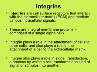 Integrins Integrins  are cell surface receptors that interact with the extracellular matrix (ECM) and mediate various intracellular signals.  These are integral membrane proteins – comprised of a single alpha helix. Integrin plays a role in the attachment of cells to other cells, and also plays a role in the attachment of a cell to the extracellular matrix.  Integrin also plays a role in signal transduction, a process by which a cell transforms one kind of signal or stimulus into another. 
