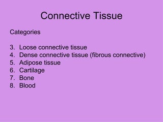 Connective Tissue Categories Loose connective tissue Dense connective tissue (fibrous connective) Adipose tissue Cartilage Bone Blood 