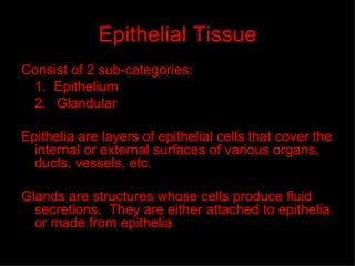 Epithelial Tissue Consist of 2 sub-categories: 1.  Epithelium 2. Glandular Epithelia are layers of epithelial cells that cover the internal or external surfaces of various organs, ducts, vessels, etc. Glands are structures whose cells produce fluid secretions.  They are either attached to epithelia or made from epithelia 