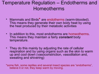 Temperature Regulation – Endotherms and Homeotherms  Mammals and Birds *  are  endotherms  (warm-blooded). This means they generate their own body heat by using the heat produced by their metabolic activities In addition to this, most endotherms are  homeotherms . This means they maintain a fairly  constant  body temperature.  They do this mainly by adjusting the rate of cellular respiration and by using organs such as the skin to warm up and cool down (vasoconstriction, vasodilation and, sweating and shivering) *some fish, some reptiles and several insect species are “endotherms”, believe it or not, they keep warm by moving. 