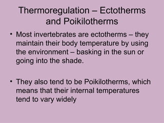 Thermoregulation – Ectotherms and Poikilotherms Most invertebrates are ectotherms – they maintain their body temperature by using the environment – basking in the sun or going into the shade. They also tend to be Poikilotherms, which means that their internal temperatures tend to vary widely 