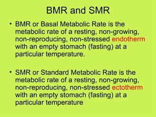BMR and SMR BMR or Basal Metabolic Rate is the metabolic rate of a resting, non-growing, non-reproducing, non-stressed  endotherm  with an empty stomach (fasting) at a particular temperature. SMR or Standard Metabolic Rate is the metabolic rate of a resting, non-growing, non-reproducing, non-stressed  ectotherm  with an empty stomach (fasting) at a particular temperature 