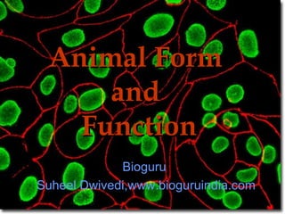 Animal Form  and  Function Bioguru  Suheel Dwivedi,www.bioguruindia.com 