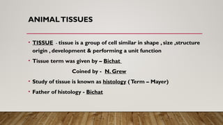 animal_tissues_by_Deepak_b[presentation].pptx