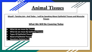 Animal Tissues
Myself : Tanishq Jain : And Today , I will be Speaking About Epithelial Tissues and Muscular
Tissues
What We Will Be Covering Today
● What do we mean By Tissues
● What do we mean By Epithelial Tissues
● Types Of Epithelial Tissues
● Need of Epithelial Tissues
● Questions Related to it
 