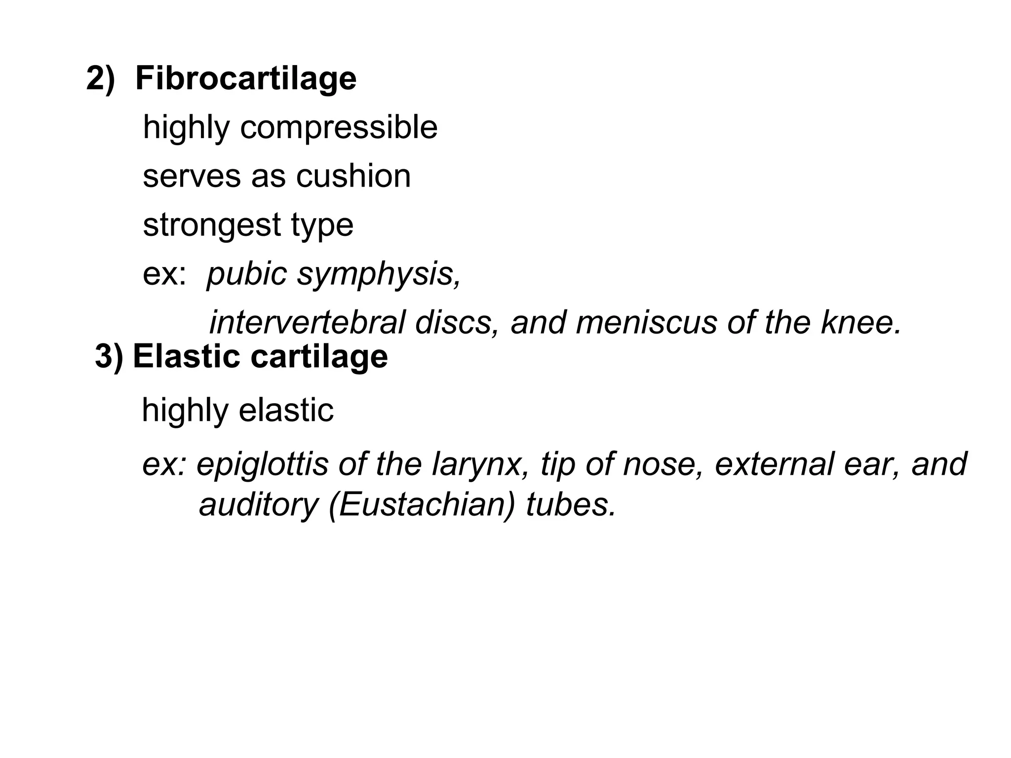 2) Fibrocartilage
highly compressible
serves as cushion
strongest type
ex: pubic symphysis,
intervertebral discs, and meniscus of the knee.
3) Elastic cartilage
highly elastic
ex: epiglottis of the larynx, tip of nose, external ear, and
auditory (Eustachian) tubes.
 