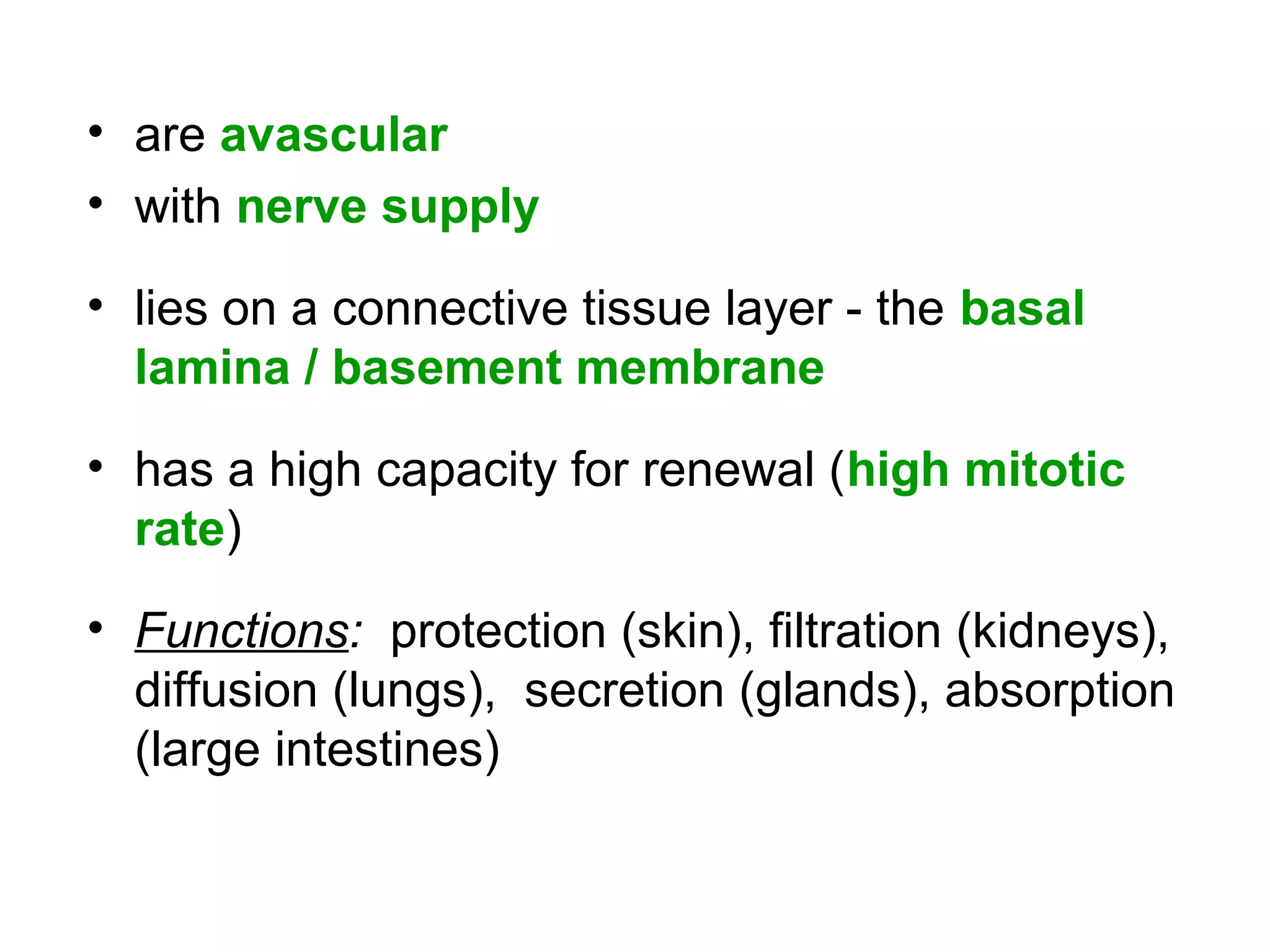 • are avascular
• with nerve supply
• lies on a connective tissue layer - the basal
lamina / basement membrane
• has a high capacity for renewal (high mitotic
rate)
• Functions: protection (skin), filtration (kidneys),
diffusion (lungs), secretion (glands), absorption
(large intestines)
 