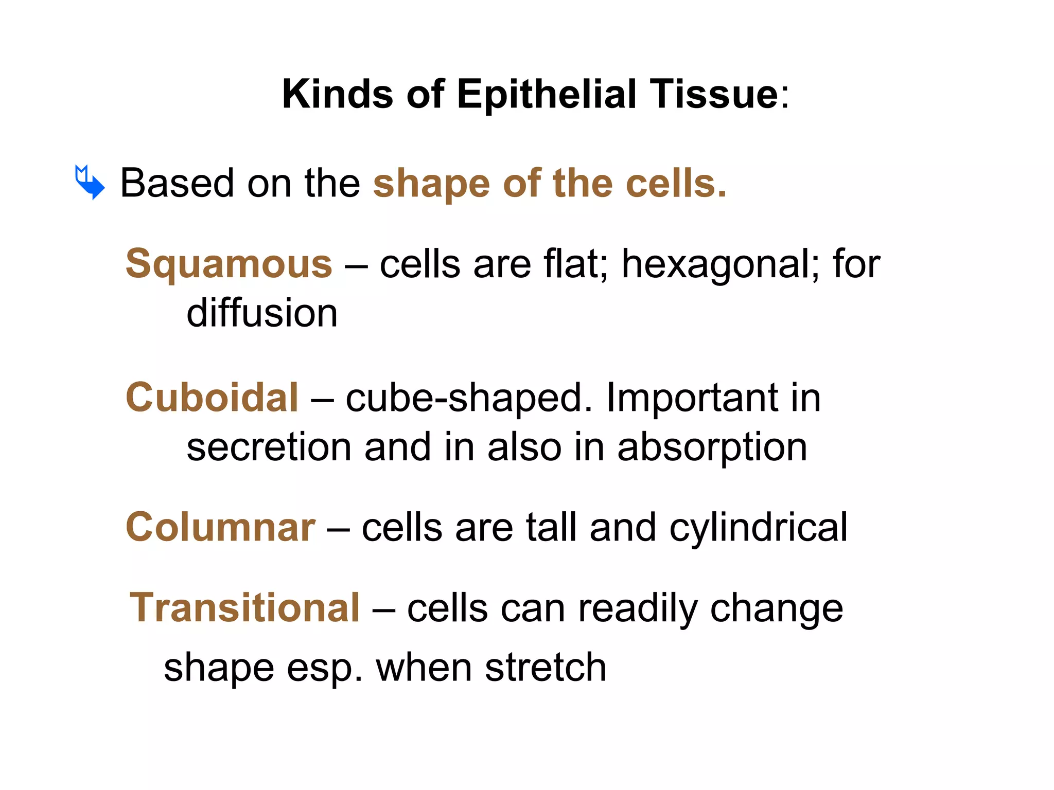 Kinds of Epithelial Tissue:
 Based on the shape of the cells.
Squamous – cells are flat; hexagonal; for
diffusion
Cuboidal – cube-shaped. Important in
secretion and in also in absorption
Columnar – cells are tall and cylindrical
Transitional – cells can readily change
shape esp. when stretch
 
