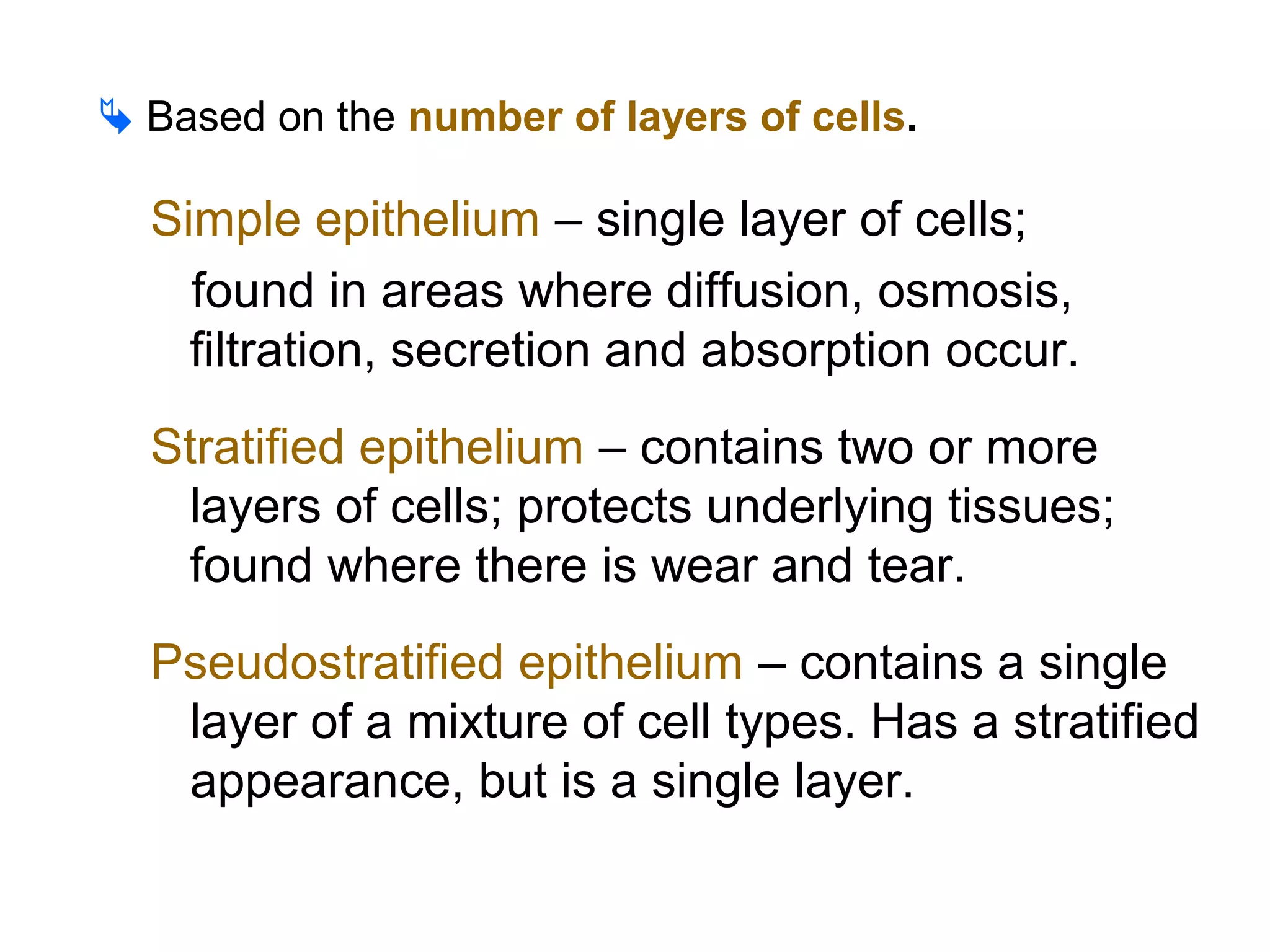  Based on the number of layers of cells.
Simple epithelium – single layer of cells;
found in areas where diffusion, osmosis,
filtration, secretion and absorption occur.
Stratified epithelium – contains two or more
layers of cells; protects underlying tissues;
found where there is wear and tear.
Pseudostratified epithelium – contains a single
layer of a mixture of cell types. Has a stratified
appearance, but is a single layer.
 