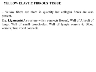 Animal Tissue Notes PPTX animal-tissue-notes-pptx