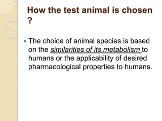 Animal Toxicity Studies | PPTX