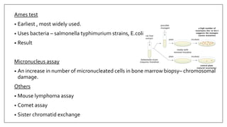Ames test
• Earliest , most widely used.
• Uses bacteria – salmonella typhimurium strains, E.coli
• Result
Micronucleus assay
• An increase in number of micronucleated cells in bone marrow biopsy– chromosomal
damage.
Others
• Mouse lymphoma assay
• Comet assay
• Sister chromatid exchange
 