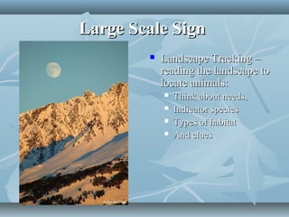 Animal tracking | PPT
