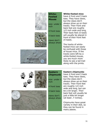 Mouse Toe Chart Animal tracks and signs study guide jr. varsity 2007 | PDF