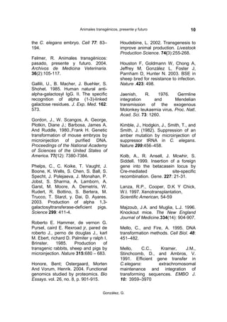 Animales transgénicos, presente y futuro                   10

the C. elegans embryo. Cell 77: 83–             Houdebine, L. 2002. Transgenesis to
194.                                            improve animal production. Livestock
                                                Production Science. 74(3):255-268.
Felmer, R. Animales transgénicos:
pasado, presente y futuro. 2004.                Houston F, Goldmann W, Chong A,
Archivos de Medicina Veterinaria.               Jeffrey M, González L, Foster J,
36(2):105-117.                                  Parnham D, Hunter N. 2003. BSE in
                                                sheep bred for resistance to infection.
Gallili, U., B. Macher, J. Buehler, S.          Nature .423: 498.
Shohet. 1985. Human natural anti-
alpha-galactosyl IgG. II. The specific          Jaenish,    R.     1976.   Germline
recognition of alpha (1-3)-linked               integration      and      Mendelian
galactose residues. J. Exp. Med. 162:           transmission of the exogenous
573.                                            Molonkey leukaemia virus. Proc. Natl.
                                                Acad. Sci. 73: 1260.
Gordon, J., W. Scangos, A. George,
Plotkin, Diane J.; Barbosa, James A.            Kimble, J., Hodgkin, J., Smith, T., and
And Ruddle, 1980.,Frank H. Genetic              Smith, J. (1982). Suppression of an
transformation of mouse embryos by              amber mutation by microinjection of
microinjection of purified DNA.                 suppressor tRNA in C. elegans.
Proceedings of the National Academy             Nature 299:456–458.
of Sciences of the United States of
America. 77(12): 7380-7384.                     Kolb, A., R. Ansell, J. Mcwhir, S.
                                                Siddell. 1999. Insertion of a foreign
Phelps, C., C. Koike, T. Vaught, J.             gene into the betacasein locus by
Boone, K. Wells, S. Chen, S. Ball, S.           Cre-mediated              site-specific
Specht, J. Polejaeva, J. Monahan, P.            recombination. Gene. 227: 21-31.
Jobst, S. Sharma, A. Lamborn, A.
Garst, M. Moore, A. Demetris, W.                Lanza, R.P., Cooper, D.K Y Chick,
Rudert, R. Bottino, S. Bertera, M.              W.l. 1997. Xenotransplantation,
Trucco, T. Starzl, y. Dai, D. Ayares.           Scientific American, 54-59
2003. Production of alpha 1,3-
galactosyltransferase-deficient pigs.           Majzoub, J.A. and Muglia, L.J. 1996.
Science 299: 411-4.                             Knockout mice. The New England
                                                Journal of Medicine.334(14): 904-907.
Roberto E. Hammer, de vernon G.
Pursel, caird E. Rexroad jr, pared de           Mello, C., and Fire, A. 1995. DNA
roberto J., perno de douglas J., karl           transformation methods. Cell Biol. 48:
M. Ebert, richard D. Palmiter y ralph I.        451–482.
Brinster.    1985.    Production     of
transgenic rabbits, sheep and pigs by           Mello,     C.C.,  Kramer,    J.M.,
microinjection. Nature 315:680 – 683.           Stinchcomb, D., and Ambros, V.
                                                1991. Efficient gene transfer in
Honore, Bent; Ostergaard, Morten                C.elegans:       extrachromosomal
And Vorum, Henrik. 2004. Functional             maintenance and integration of
genomics studied by proteomics. Bio             transforming sequences. EMBO J.
Essays. vol. 26, no. 8, p. 901-915.             10: 3959–3970


                                      González, G.
 