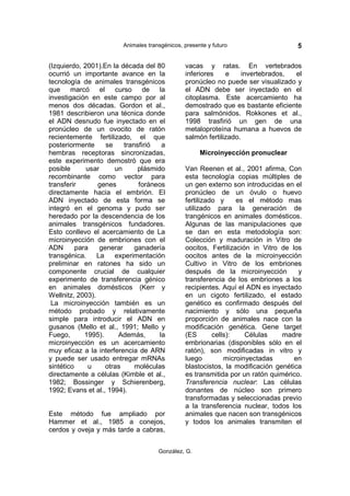 Animales transgénicos, presente y futuro                   5

(Izquierdo, 2001).En la década del 80           vacas y ratas. En vertebrados
ocurrió un importante avance en la              inferiores    e     invertebrados, el
tecnología de animales transgénicos             pronúcleo no puede ser visualizado y
que marcó el curso de la                        el ADN debe ser inyectado en el
investigación en este campo por al              citoplasma. Este acercamiento ha
menos dos décadas. Gordon et al.,               demostrado que es bastante eficiente
1981 describieron una técnica donde             para salmónidos. Rokkones et al.,
el ADN desnudo fue inyectado en el              1998 trasfirió un gen de una
pronúcleo de un ovocito de ratón                metaloproteína humana a huevos de
recientemente fertilizado, el que               salmón fertilizado.
posteriormente      se    transfirió   a
hembras receptoras sincronizadas,                     Microinyección pronuclear
este experimento demostró que era
posible      usar      un      plásmido         Van Reenen et al., 2001 afirma, Con
recombinante como vector para                   esta tecnología copias múltiples de
transferir       genes         foráneos         un gen externo son introducidas en el
directamente hacia el embrión. El               pronúcleo de un óvulo o huevo
ADN inyectado de esta forma se                  fertilizado y     es el método mas
integró en el genoma y pudo ser                 utilizado para la generación de
heredado por la descendencia de los             trangénicos en animales domésticos.
animales transgénicos fundadores.               Algunas de las manipulaciones que
Esto conllevo el acercamiento de La             se dan en esta metodología son:
microinyección de embriones con el              Colección y maduración in Vitro de
ADN       para    generar     ganadería         oocitos, Fertilización in Vitro de los
transgénica.     La    experimentación          oocitos antes de la microinyección
preliminar en ratones ha sido un                Cultivo in Vitro de los embriones
componente crucial de cualquier                 después de la microinyección         y
experimento de transferencia génico             transferencia de los embriones a los
en animales domésticos (Kerr y                  recipientes. Aquí el ADN es inyectado
Wellnitz, 2003).                                en un cigoto fertilizado, el estado
 La microinyección también es un                genético es confirmado después del
método probado y relativamente                  nacimiento y sólo una pequeña
simple para introducir el ADN en                proporción de animales nace con la
gusanos (Mello et al., 1991; Mello y            modificación genética. Gene target
Fuego,       1995).     Además,       la        (ES       cells):    Células    madre
microinyección es un acercamiento               embrionarias (disponibles sólo en el
muy eficaz a la interferencia de ARN            ratón), son modificadas in vitro y
y puede ser usado entregar mRNAs                luego         microinyectadas       en
sintético     u     otras     moléculas         blastocistos, la modificación genética
directamente a células (Kimble et al.,          es transmitida por un ratón quimérico.
1982; Bossinger y Schierenberg,                 Transferencia nuclear: Las células
1992; Evans et al., 1994).                      donantes de núcleo son primero
                                                transformadas y seleccionadas previo
                                                a la transferencia nuclear, todos los
Este método fue ampliado por                    animales que nacen son transgénicos
Hammer et al., 1985 a conejos,                  y todos los animales transmiten el
cerdos y oveja y más tarde a cabras,


                                      González, G.
 