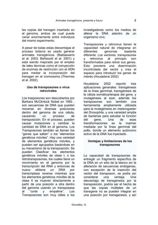 Animales transgénicos, presente y futuro                     7

las copias del transgen insertado en           investigadores como los medios de
el genoma, ambos de cual puede                 alterar la DNA adentro de un
variar enormemente entre individuos            organismo vivo.
del mismo experimento.
                                               Transposones y retrovirus tienen la
A pesar de todas estas desventajas el          capacidad natural de integrarse en
proceso todavía es usado generar               diferentes      genomas       bastante
animales transgénicos (Baldassarre             diferente. Los vectores, transposones
et al. 2003; Behboodi et al. 2001) y           y    retrovirus   al   principio   son
está siendo mejorado por el empleo             transformados para retirar sus genes.
de tales técnicas como el coinyección          Esto previene una diseminación
de enzimas de restricción con el ADN           incontrolada del vector y crea el
para mediar la incorporación del               espacio para introducir los genes de
transgen en el cromosoma (Thermes              interés (Houdebine 2002)
et al. 2002).
                                               Houdebine      2002     reportó   tres
   Uso de transposones o virus                 aplicaciones generales: transgénesis
            retrovirales                       de la línea germinal, transgénesis de
                                               la célula somática/terapia del gene, y
Los trasposones son descubiertos por           mutagénesis al azar. además los
Barbara McClintock Nobel en 1983 ,             transposones son también una
son secuencias de DNA que pueden               herramienta ampliamente utilizada
moverse en diversas posiciones                 para la mutagénesis en melanogaster
dentro del genoma de una célula,               del Drosophila, y una variedad amplia
causando       un      proceso      de         de bacterias para estudiar la función
transposición. En el proceso, pueden           del     gene.     Una      de    esas
causar mutaciones y cambiar la                 transformaciones es la mariner
cantidad de DNA en el genoma. Los              mediada por la línea germinal del
Transposones también se llaman los             pollo, donde un elemento autónomo
“genes que saltan” o los “elementos            activo de la DNA fue inyectado.
genéticos móviles”. Hay una variedad
de elementos genéticos móviles, y                   Ventajas y limitaciones de los
pueden ser agrupados basándose en                          transposones
su mecanismo de la transposición. Se
pueden Clasificar los elementos
genéticos móviles de clase I, o los            La capacidad de transposones de
retrotransposones, los cuales tiene un         entregar un fragmento específico de
movimiento en el genoma por la                 la DNA en un sitio de la blanco sin la
transcripción del RNA y entonces de            alteración de secuencias endógenas,
nuevo     obtiene    un    DNA     por         con excepción de la inserción del
transcriptasa reversa mientras que             vector del transposon, se podía así
los elementos genéticos móviles de la          considerar     una    ventaja.   Una
clase II se mueven directamente a              desventaja de transgenesis por la
partir de una posición a otra dentro           transposición, podría ser el hecho de
del genoma usando un transposasa               que las copias múltiples de un
al    “corte   y    empalme”.      Los         transgene no se pueden integrar en
Transposones son muy útiles a los              una posición por transgenesis, y así


                                     González, G.
 