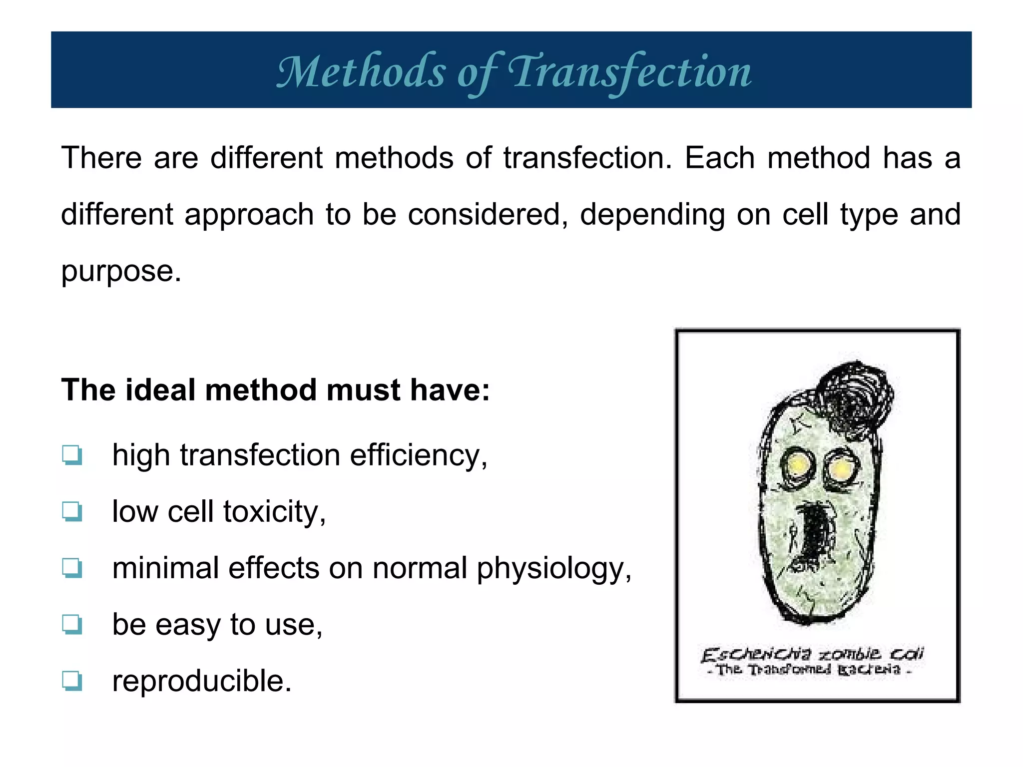 Methods of Transfection
There are different methods of transfection. Each method has a
different approach to be considered, depending on cell type and
purpose.
The ideal method must have:
❏ high transfection efficiency,
❏ low cell toxicity,
❏ minimal effects on normal physiology,
❏ be easy to use,
❏ reproducible.
 