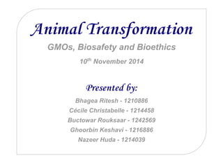 Animal Transformation
GMOs, Biosafety and Bioethics
10th
November 2014
Presented by:
Bhagea Ritesh - 1210886
Cécile Christabelle - 1214458
Buctowar Rouksaar - 1242569
Ghoorbin Keshavi - 1216886
Nazeer Huda - 1214039
 