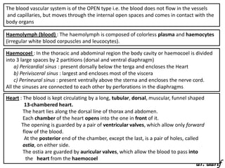 The blood vascular system is of the OPEN type i.e. the blood does not flow in the vessels
and capillaries, but moves through the internal open spaces and comes in contact with the
body organs

Haemolymph (blood) : The haemolymph is composed of colorless plasma and haemocytes
(irregular white blood corpuscles and leucocytes).

Haemocoel : In the thoracic and abdominal region the body cavity or haemocoel is divided
into 3 large spaces by 2 partitions (dorsal and ventral diaphragm)
    a) Pericardial sinus : present dorsally below the terga and encloses the Heart
    b) Perivisceral sinus : largest and encloses most of the viscera
    c) Perineural sinus : present ventrally above the sterna and encloses the nerve cord.
All the sinuses are connected to each other by perforations in the diaphragms

Heart : The blood is kept circulating by a long, tubular, dorsal, muscular, funnel shaped
         13-chambered heart.
        The heart lies along the dorsal line of thorax and abdomen.
        Each chamber of the heart opens into the one in front of it.
       The opening is guarded by a pair of ventricular valves, which allow only forward
        flow of the blood.
         At the posterior end of the chamber, except the last, is a pair of holes, called
        ostia, on either side.
        The ostia are guarded by auricular valves, which allow the blood to pass into
          the heart from the haemocoel
                                                                                     dr. aarif
 