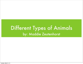 Different Types of Animals
by: Maddie Zeutenhorst
Tuesday, March 3, 15
 