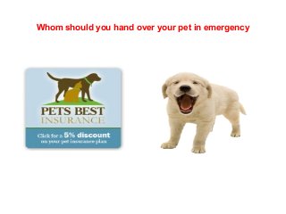 Whom should you hand over your pet in emergency
 