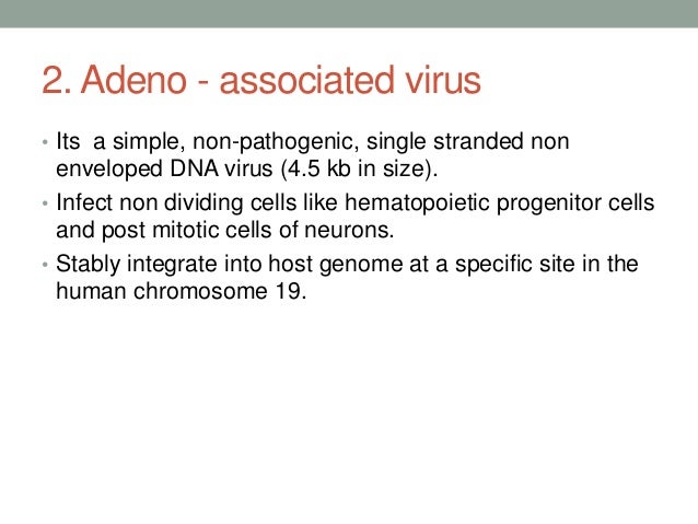 Animal viral based vectors