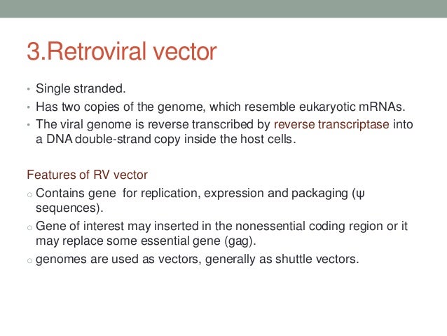 Animal viral based vectors