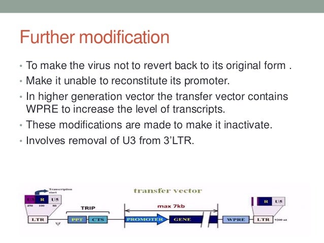 Animal viral based vectors