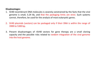 Disadvantages:
1. SV40 recombinant DNA molecules is severely constrained by the facts that the viral
genome is small, 5.24 kb, and that the packaging limits are strict. Such systems
cannot, therefore, be used for the analysis of most eukaryotic genes.
2. SV40 plasmids (vectors) can be packaged only if their DNA is within the range of
3900 to 5300 bp.
3. Present disadvantages of rSV40 vectors for gene therapy are a small cloning
capacity and the possible risks related to random integration of the viral genome
into the host genome.
 