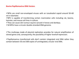Bovine Papillomavirus DNA Vectors
BPVs are small non-enveloped viruses with an icosahedral capsid around 50–60
nm in diameter.
BPV is capable of transforming certain mammalian cells including rat, bovine,
hamster, and mouse cell lines in culture.
They can cause skin tumour equine sarcoid in horses and donkeys.
All BPVs have a circular double-stranded DNA genome.
The multicopy mode of plasmid replication provides for natural amplification of
cloned genes and, consequently, the possibility of higher levelsof expression.
Papillomavirus transformed cells don't contain integrated viral DNA rather they
contain between 50 and 300 copies of unintegrated, circular viral DNA.
 