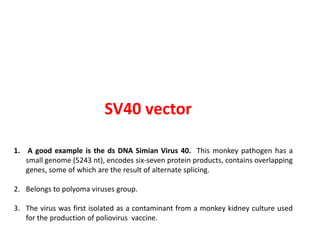 SV40 vector
1. A good example is the ds DNA Simian Virus 40. This monkey pathogen has a
small genome (5243 nt), encodes six-seven protein products, contains overlapping
genes, some of which are the result of alternate splicing.
2. Belongs to polyoma viruses group.
3. The virus was first isolated as a contaminant from a monkey kidney culture used
for the production of poliovirus vaccine.
 