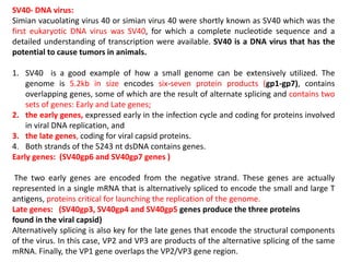 SV40- DNA virus:
Simian vacuolating virus 40 or simian virus 40 were shortly known as SV40 which was the
first eukaryotic DNA virus was SV40, for which a complete nucleotide sequence and a
detailed understanding of transcription were available. SV40 is a DNA virus that has the
potential to cause tumors in animals.
1. SV40 is a good example of how a small genome can be extensively utilized. The
genome is 5.2kb in size encodes six-seven protein products (gp1-gp7), contains
overlapping genes, some of which are the result of alternate splicing and contains two
sets of genes: Early and Late genes;
2. the early genes, expressed early in the infection cycle and coding for proteins involved
in viral DNA replication, and
3. the late genes, coding for viral capsid proteins.
4. Both strands of the 5243 nt dsDNA contains genes.
Early genes: (SV40gp6 and SV40gp7 genes )
The two early genes are encoded from the negative strand. These genes are actually
represented in a single mRNA that is alternatively spliced to encode the small and large T
antigens, proteins critical for launching the replication of the genome.
Late genes: (SV40gp3, SV40gp4 and SV40gp5 genes produce the three proteins
found in the viral capsid)
Alternatively splicing is also key for the late genes that encode the structural components
of the virus. In this case, VP2 and VP3 are products of the alternative splicing of the same
mRNA. Finally, the VP1 gene overlaps the VP2/VP3 gene region.
 