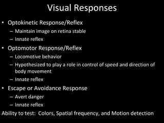 Visual Responses Optokinetic Response/Reflex Maintain image on retina stable Innate reflex Optomotor Response/Reflex Locomotive behavior Hypothesized to play a role in control of speed and direction of body movement Innate reflex Escape or Avoidance Response Avert danger Innate reflex Ability to test:  Colors, Spatial frequency, and Motion detection 