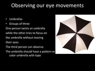 Observing our eye movements Umbrellas Groups of three One person twists an umbrella  while the other tries to focus on  the umbrella without moving  their eyes. The third person can observe.  The umbrella should have a pattern or make stripes on a solid color umbrella with tape 