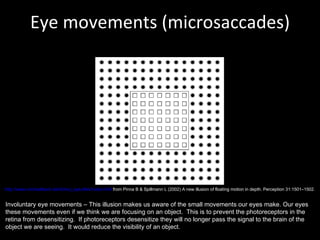 Eye movements (microsaccades) http://www.michaelbach.de/ot/mot_eyeJitter/index.html  from Pinna B & Spillmann L (2002) A new illusion of floating motion in depth. Perception 31:1501–1502. Involuntary eye movements – This illusion makes us aware of the small movements our eyes make. Our eyes these movements even if we think we are focusing on an object.  This is to prevent the photoreceptors in the retina from desensitizing.  If photoreceptors desensitize they will no longer pass the signal to the brain of the object we are seeing.  It would reduce the visibility of an object. 