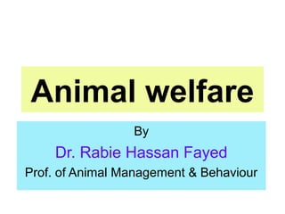 Animal welfare
By
Dr. Rabie Hassan Fayed
Prof. of Animal Management & Behaviour
 
