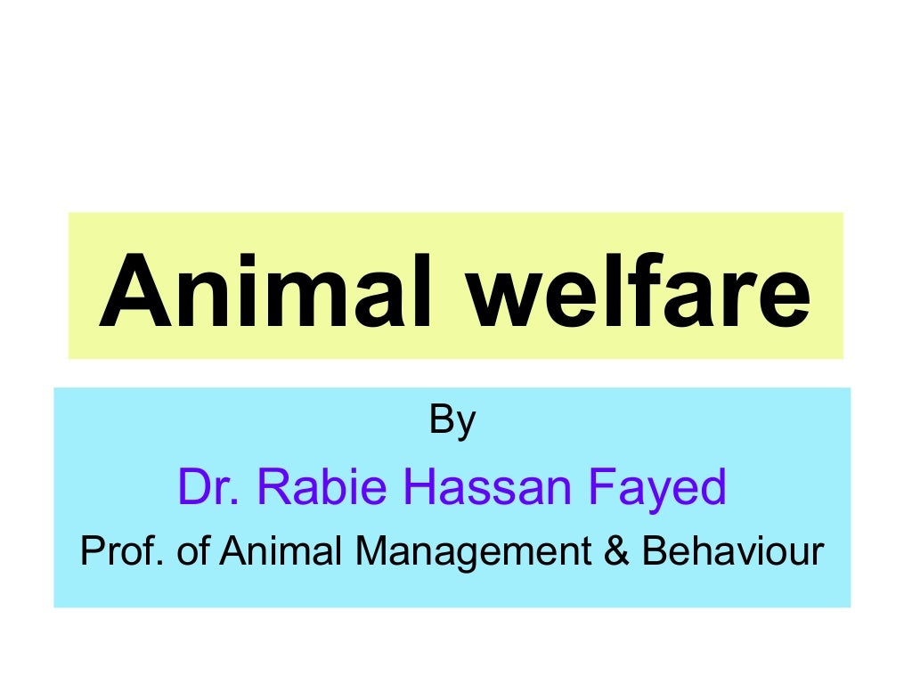 Animal Welfare
