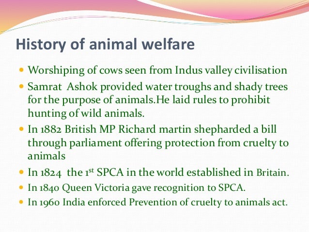 Animal Welfare animal-welfare