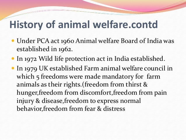 prevention of cruelty to animals act 1979 pdf