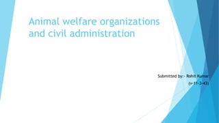 Animal welfare organizations
and civil administration
Submitted by:- Rohit Kumar
(v-11-3-43)
 
