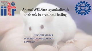 Animal WELFare organization &
their role in preclinical testing
YOGESH KUMAR
M.PHARM (PHARMACOLOGY)
BBAU,LKO
 