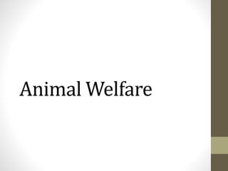 Animal Welfare
 