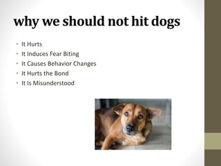 why we should not hit dogs
• It Hurts
• It Induces Fear Biting
• It Causes Behavior Changes
• It Hurts the Bond
• It Is Misunderstood
 