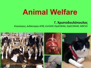 Animal Welfare
                                  Γ. Χριςτοδουλόπουλοσ
Κτηνίατρος, Διδάκτορας ΑΠΘ, CertSHP, DipECBHM, DipECSRHM, MRCVS
 