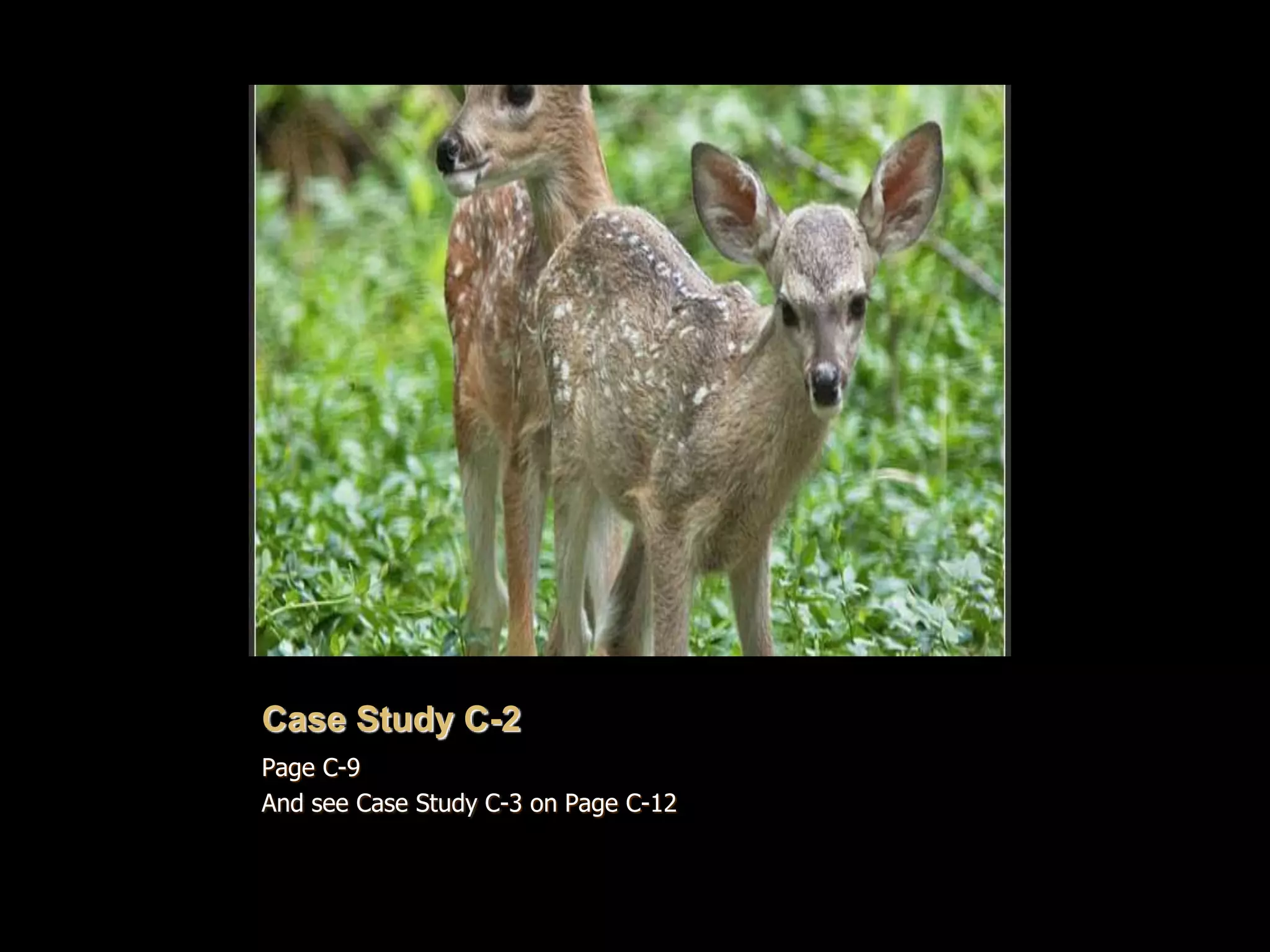 Page C-9
And see Case Study C-3 on Page C-12
Case Study C-2
 