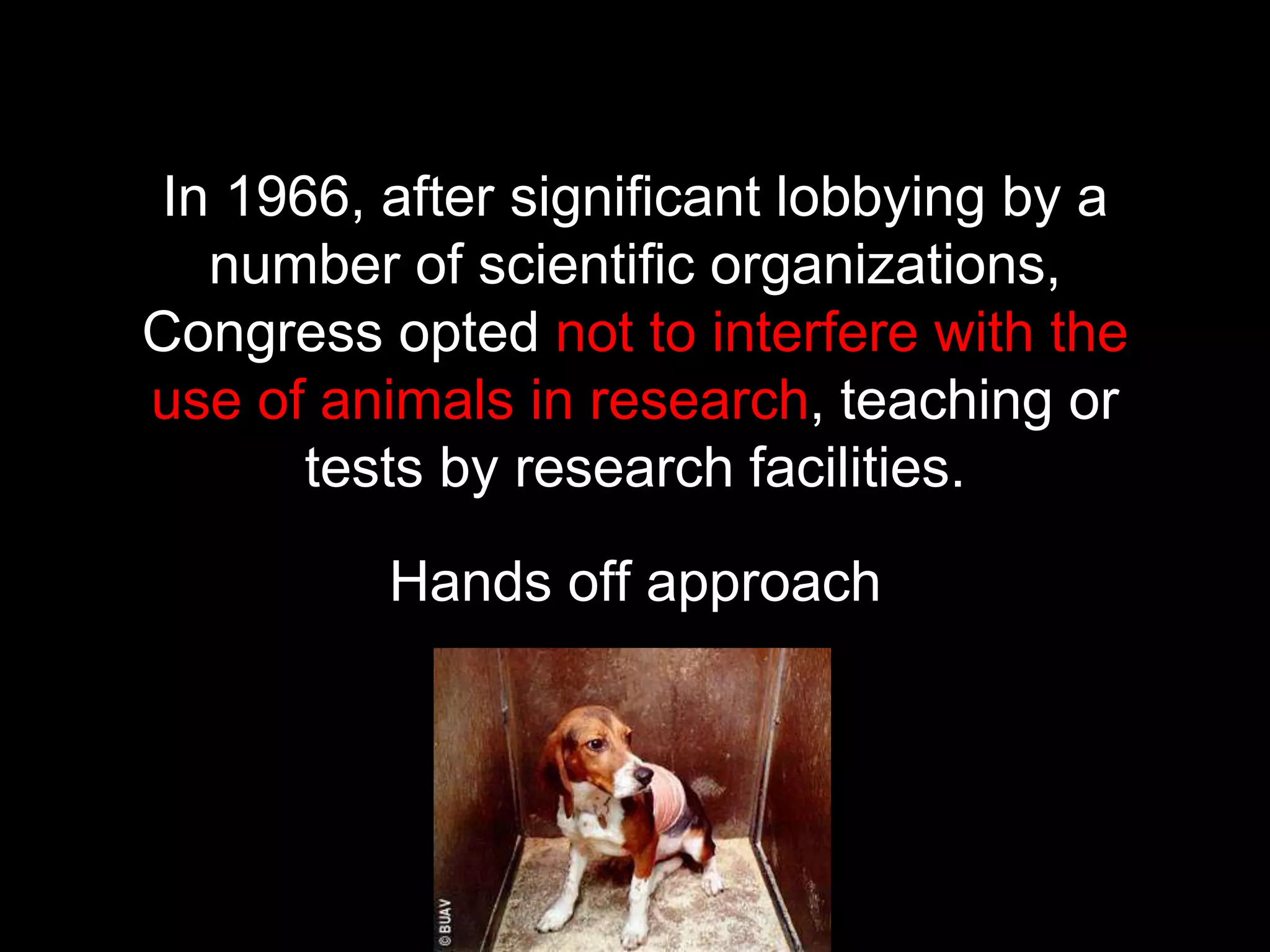 In 1966, after significant lobbying by a
number of scientific organizations,
Congress opted not to interfere with the
use of animals in research, teaching or
tests by research facilities.
Hands off approach
 